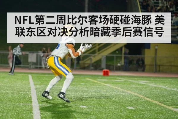 American football wide receiver catch